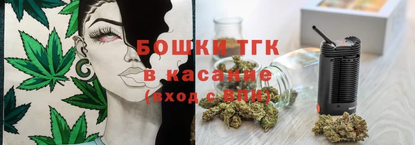 сатива Заволжск