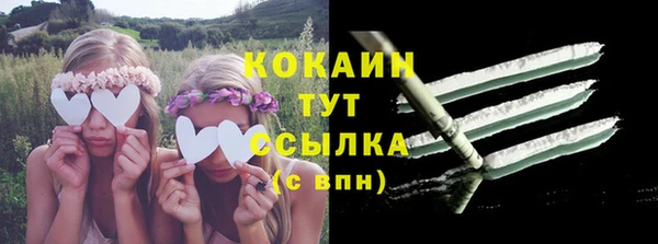 ПСИЛОЦИБИНОВЫЕ ГРИБЫ Заволжье