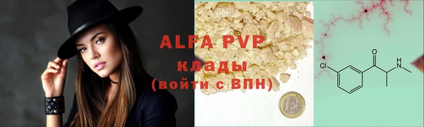 ПСИЛОЦИБИНОВЫЕ ГРИБЫ Заволжье