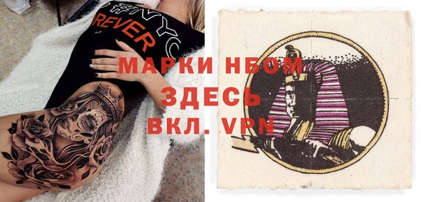 ПСИЛОЦИБИНОВЫЕ ГРИБЫ Заволжье