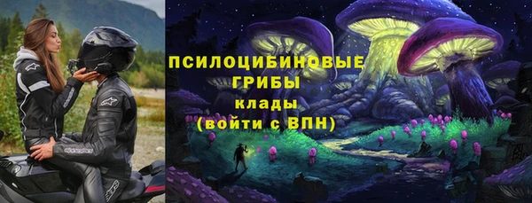 сатива Заволжск