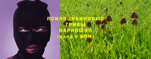 сатива Заволжск