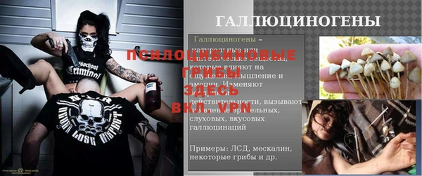 ПСИЛОЦИБИНОВЫЕ ГРИБЫ Заволжье