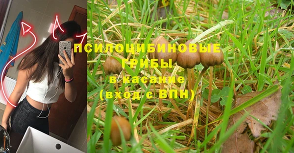 сатива Заволжск