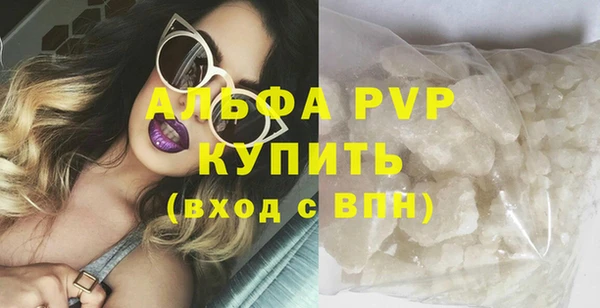 стаф Зеленокумск