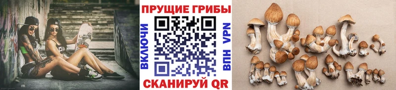 Псилоцибиновые грибы мухоморы  Купить где  Заволжье 